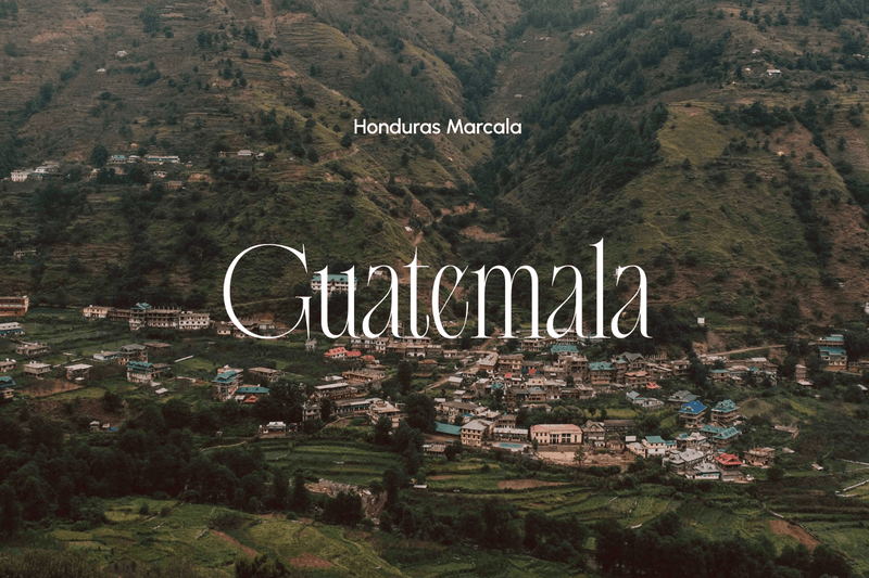 Guatemala Kahvesinin Eşsiz Lezzeti: Dünyanın En İyi Filtre Kahvelerinden Biri