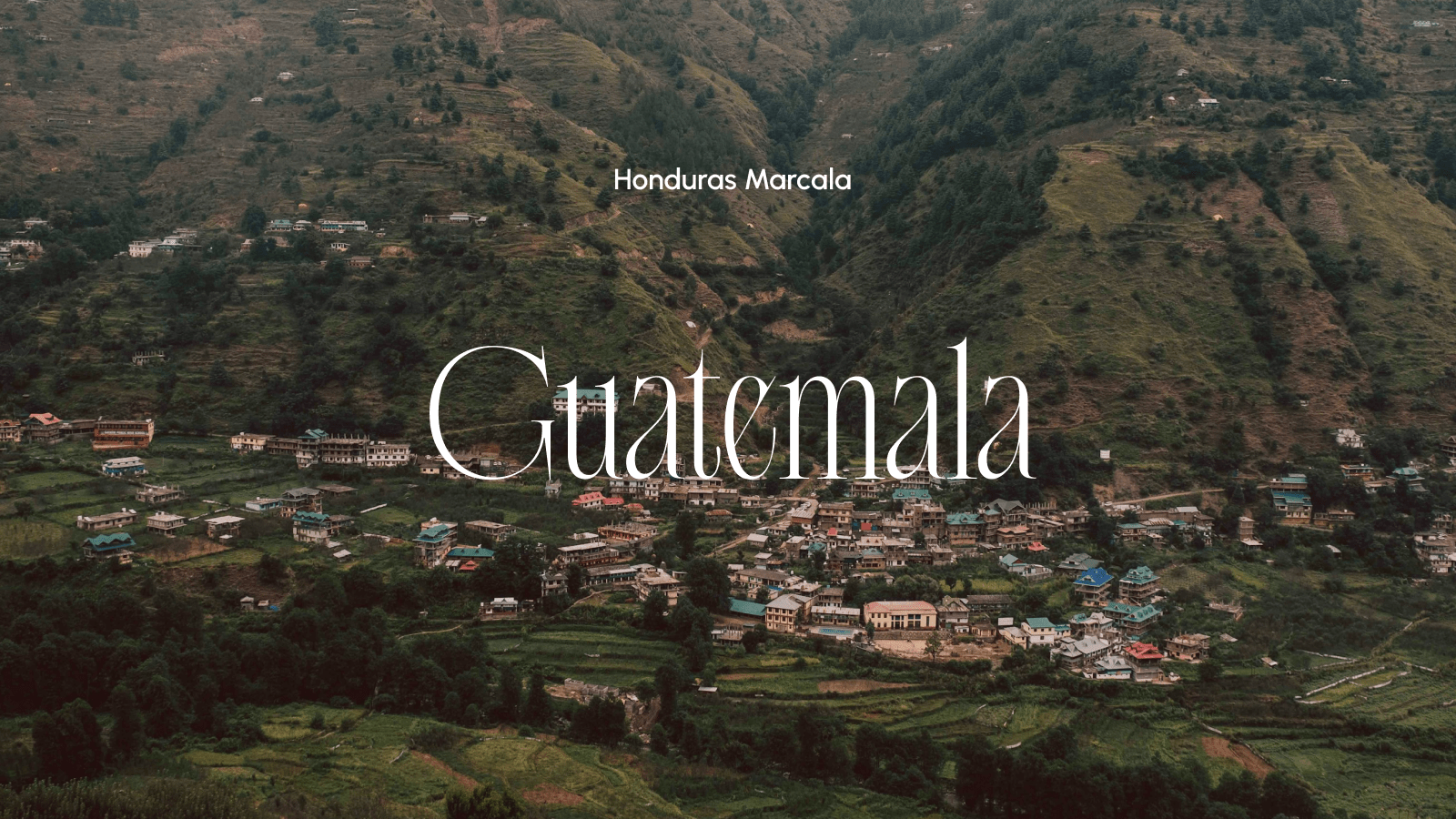 Guatemala Kahvesinin Eşsiz Lezzeti: Dünyanın En İyi Filtre Kahvelerinden Biri