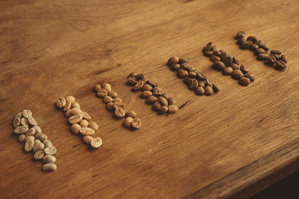 Kahve Çekirdekleri Arasındaki Farklar: İmesta Coffee ile Doğru Seçim