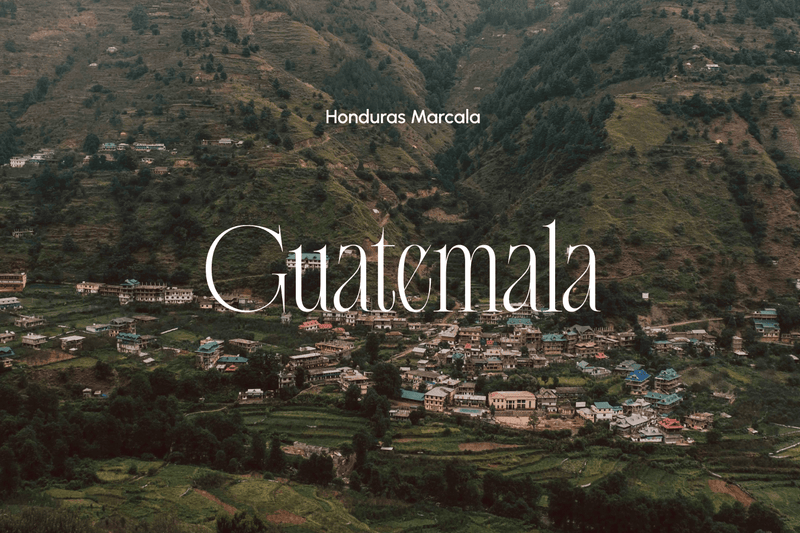 Guatemala Kahvesinin Eşsiz Lezzeti: Dünyanın En İyi Filtre Kahvelerinden Biri - imesta coffee
