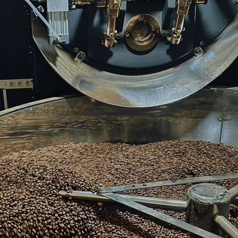 Terra | Espresso Kahve Çekirdeği | 1000g